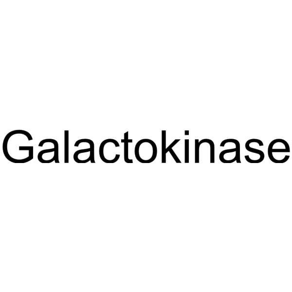 Galactokinase (BiGalK) 9030-53-9